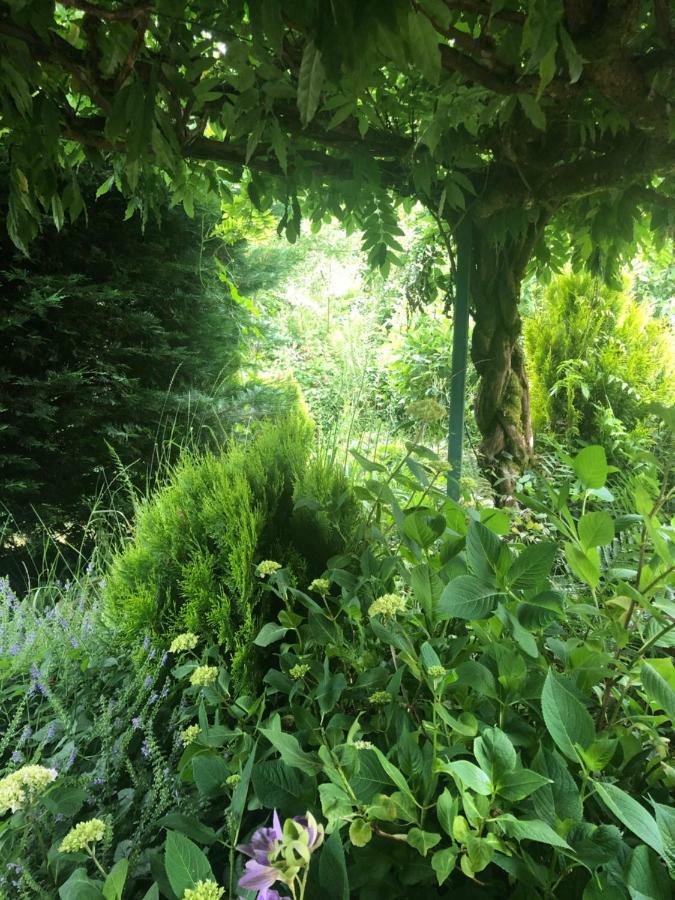 Lo'Gite L'Allee Du Val Lalaye 외부 사진
