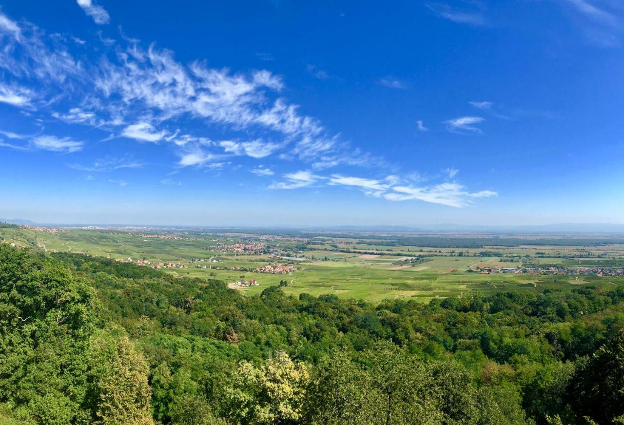 Lo'Gite L'Allee Du Val Lalaye 외부 사진